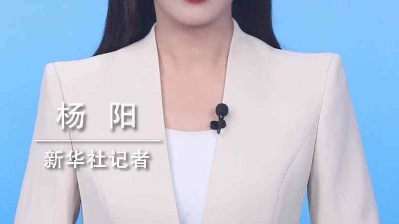 金融大数据分析解决方案：价格背后的价值考量**